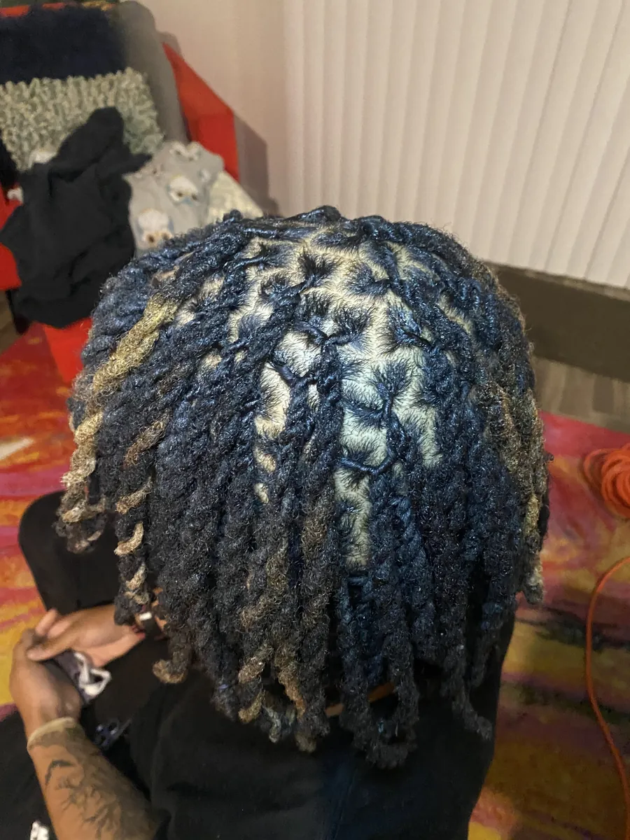 Blonde-tipped two-strand twists