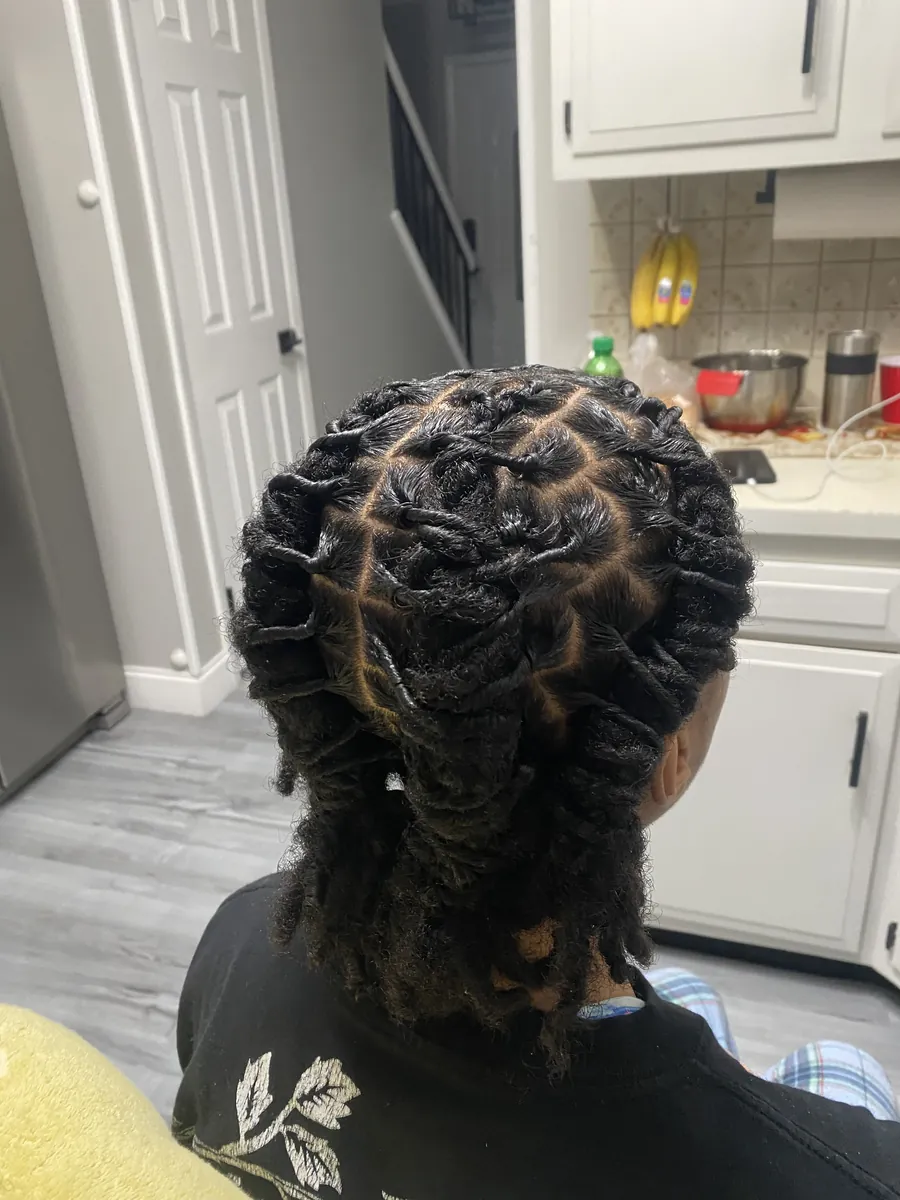Fresh two-strand twist retwist, back view