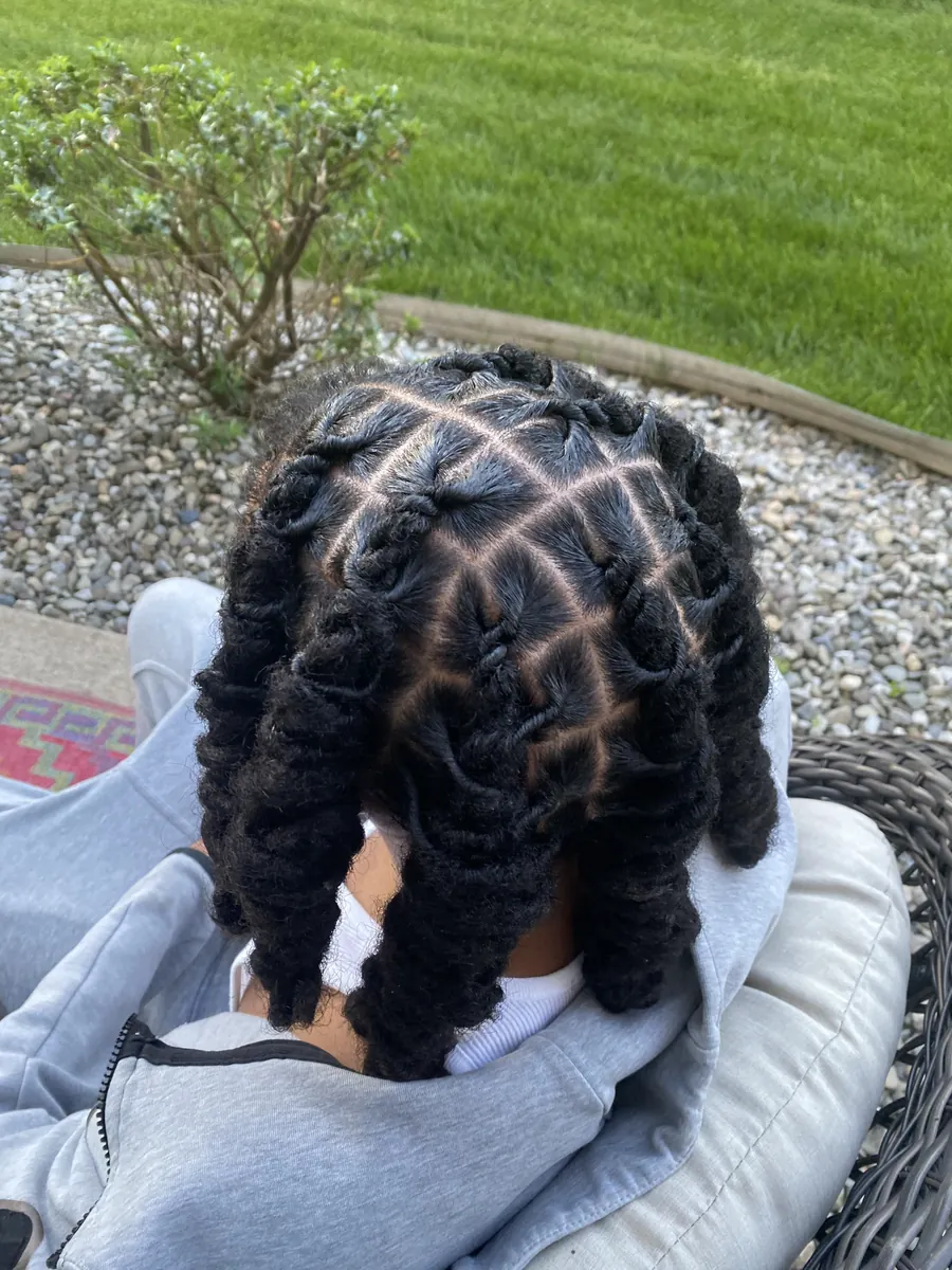 Fresh two-strand twists on natural hair, outdoor
